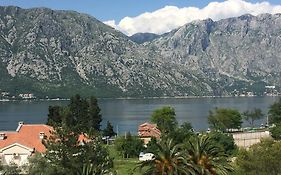 Apartmani Stanojevic